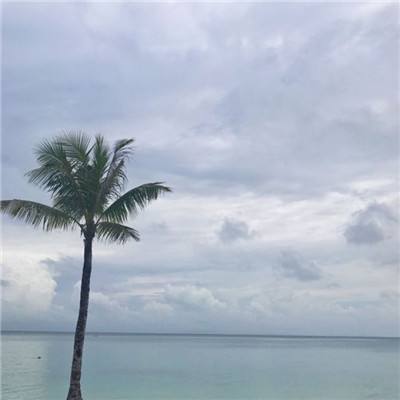 空海警戒手游(暂未上线)v1.1 安卓版