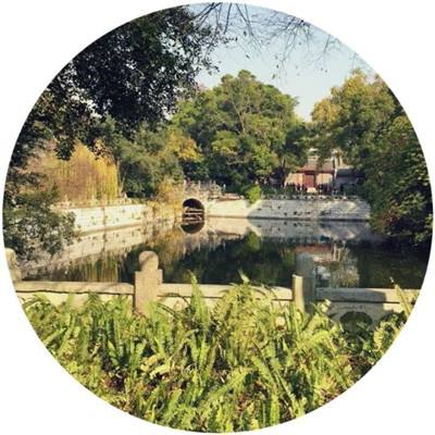 阴阳师日服下载